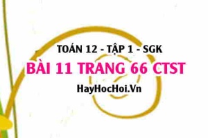 Bài 11 trang 66 Toán 12 tập 1 Chân trời sáng tạo